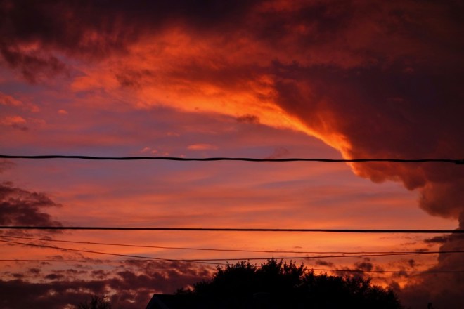 inspirations-evakuisine