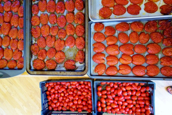 tomates-confites