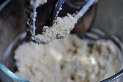 tarte-aux-prunes-italiennes