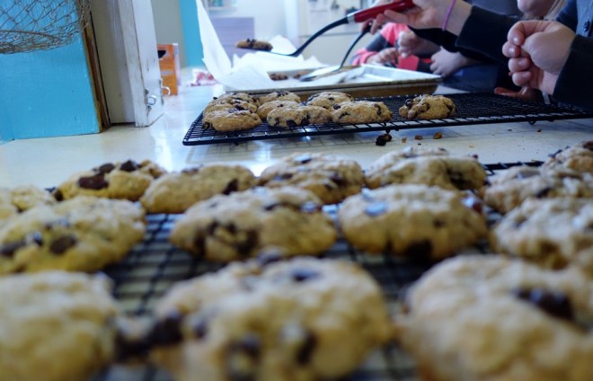 biscuits-avoine-chocolat-raisins