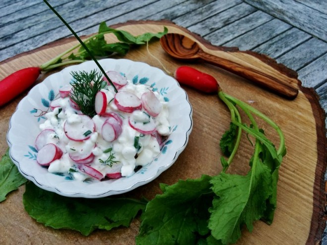 radis-polonaise