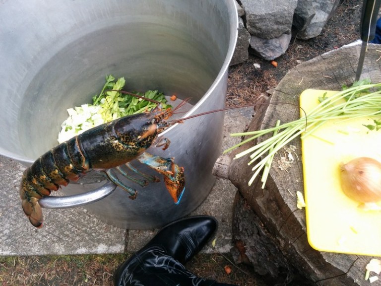 comment faire une bisque de homard durant un party? evakuisine