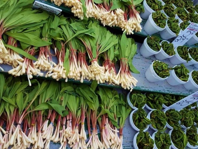 ail-des-bois-byward-market-ottawa