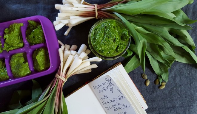 pesto-cubes-congélés