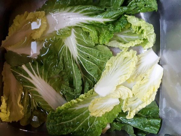 chou-chinois-panier-bio