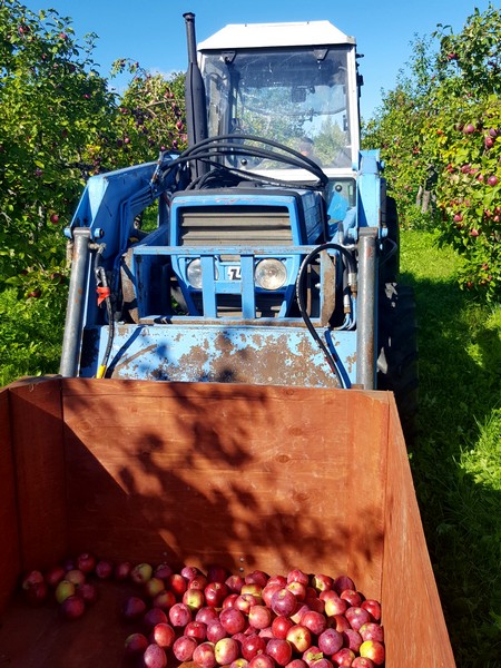 tracteur-pommes