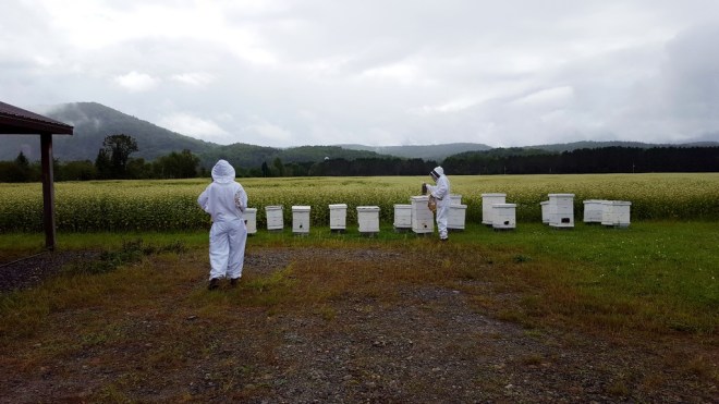 rucher-le-terroir-d-eva