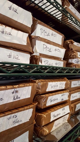 chocolat-palette-de-bine