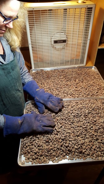 torréfaction-palette-de-bine