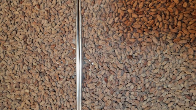 palette-de-bine-feves