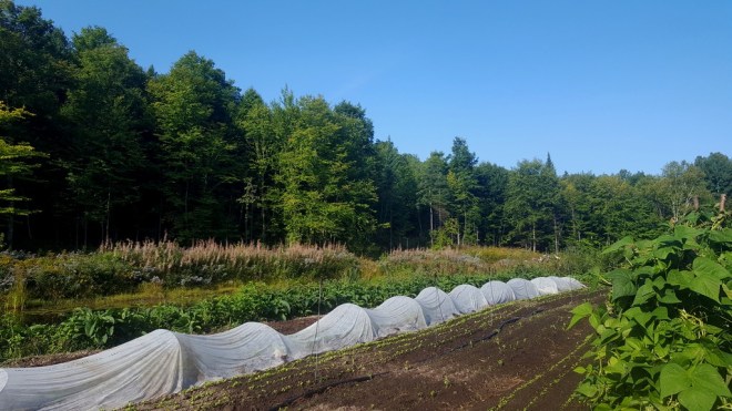 les-jardins-vertige-le-terroir-d-eva