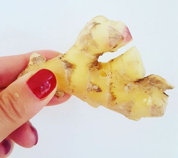 ginger-gingembre-du -québec-bio