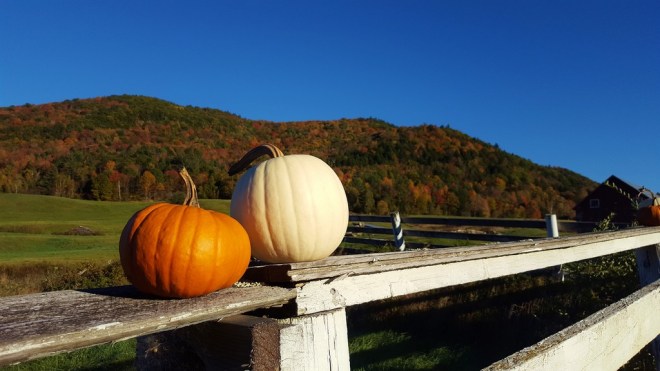 vermont-fall-pumpkin
