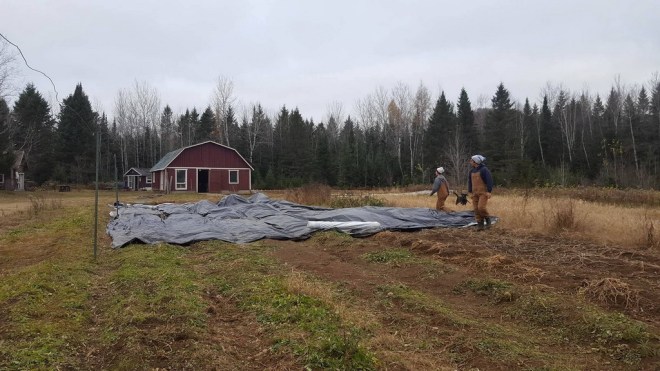 ferme-locale-laurentides